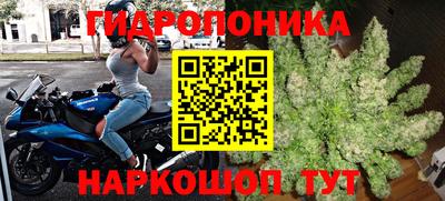 каннабис Кингисепп
