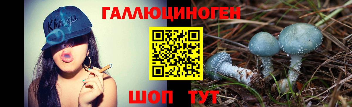 Псилоцибиновые грибы GOLDEN TEACHER  Вход с VPN  Кирово-Чепецк  Галлюциногенные грибы мухоморы 